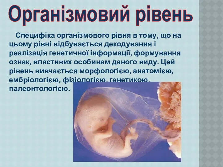 Специфіка організмового рівня в тому, що на цьому рівні відбувається