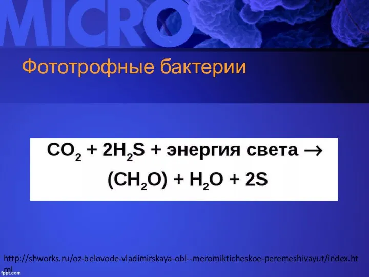 Фототрофные бактерии http://shworks.ru/oz-belovode-vladimirskaya-obl--meromikticheskoe-peremeshivayut/index.html