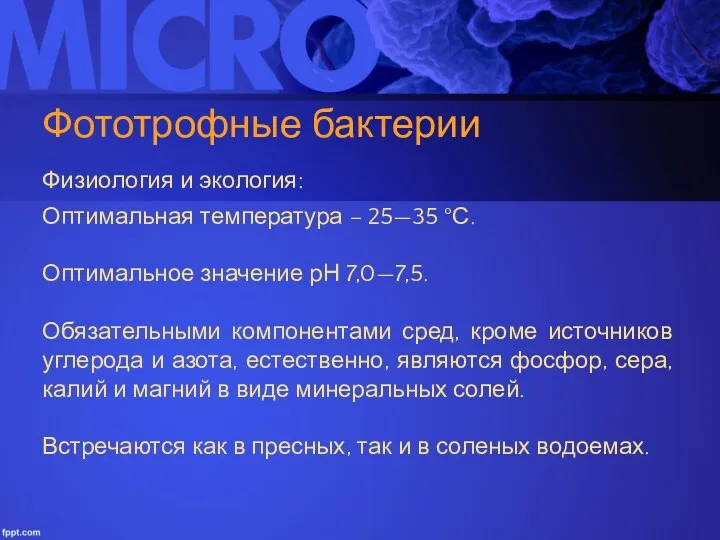 Фототрофные бактерии Физиология и экология: Оптимальная температура – 25—35 °С.