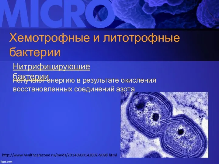 Хемотрофные и литотрофные бактерии Нитрифицирующие бактерии получают энергию в результате окисления восстановленных соединений азота http://www.healthcarezone.ru/meds/20140930142002-9098.html