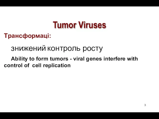 Tumor Viruses Tрансформаці: знижений контроль росту Ability to form tumors - viral genes