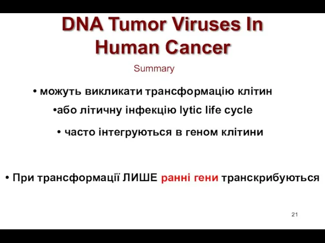 DNA Tumor Viruses In Human Cancer Summary можуть викликати трансформацію клітин або літичну