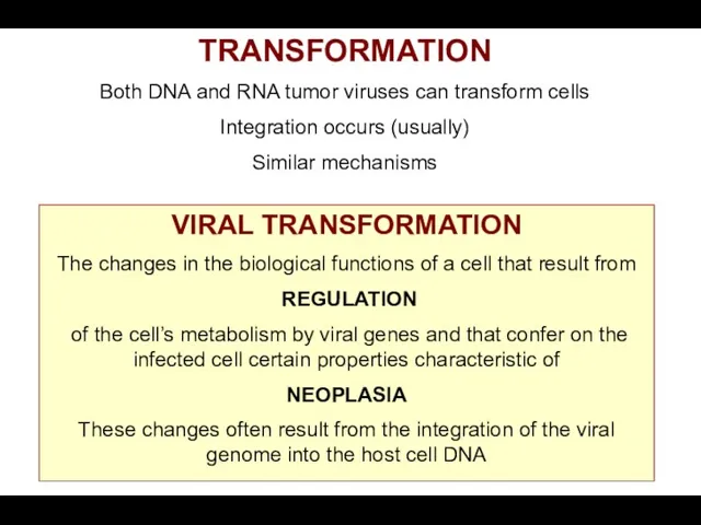 TRANSFORMATION Both DNA and RNA tumor viruses can transform cells Integration occurs (usually)
