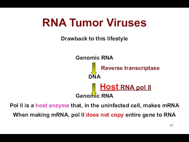 RNA Tumor Viruses Drawback to this lifestyle Genomic RNA DNA Genomic RNA Pol