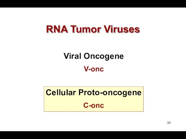 RNA Tumor Viruses Viral Oncogene V-onc Cellular Proto-oncogene C-onc