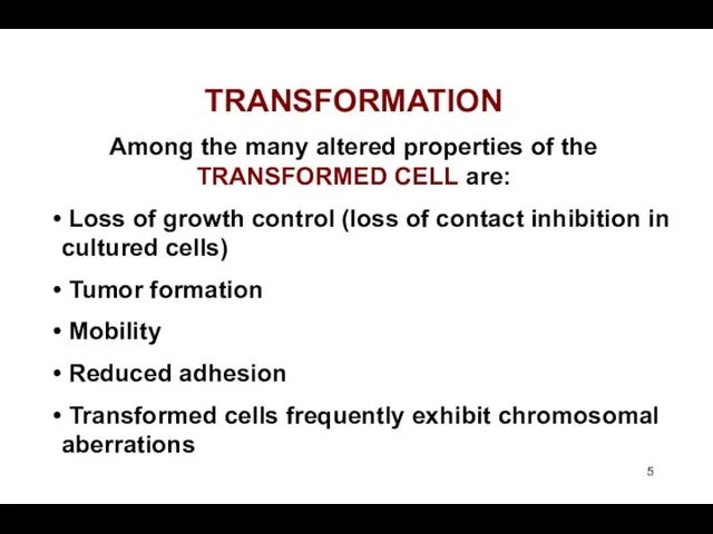 TRANSFORMATION Among the many altered properties of the TRANSFORMED CELL are: Loss of