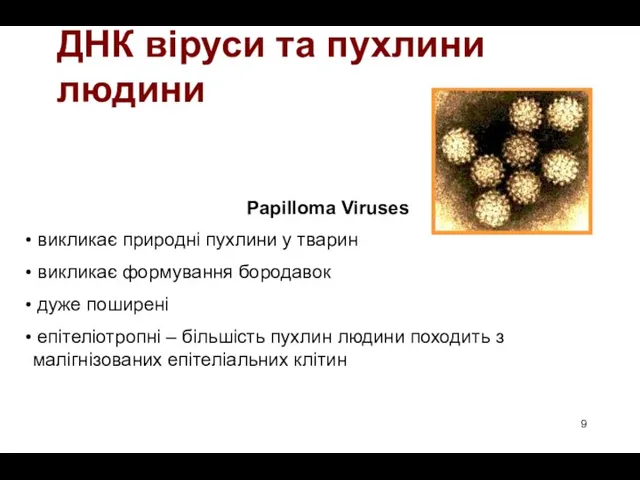 ДНК віруси та пухлини людини Papilloma Viruses викликає природні пухлини у тварин викликає