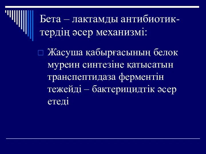 Бета – лактамды антибиотик-тердің әсер механизмі: Жасуша қабырғасының белок муреин синтезіне қатысатын транспептидаза