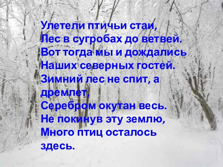 Улетели птичьи стаи, Лес в сугробах до ветвей. Вот тогда