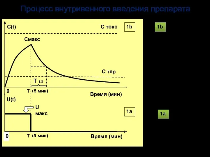 Процесс внутривенного введения препарата U(t) - скорость введения препарата, ступенчатая