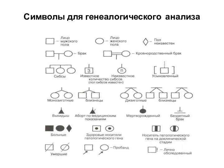 Символы для генеалогического анализа