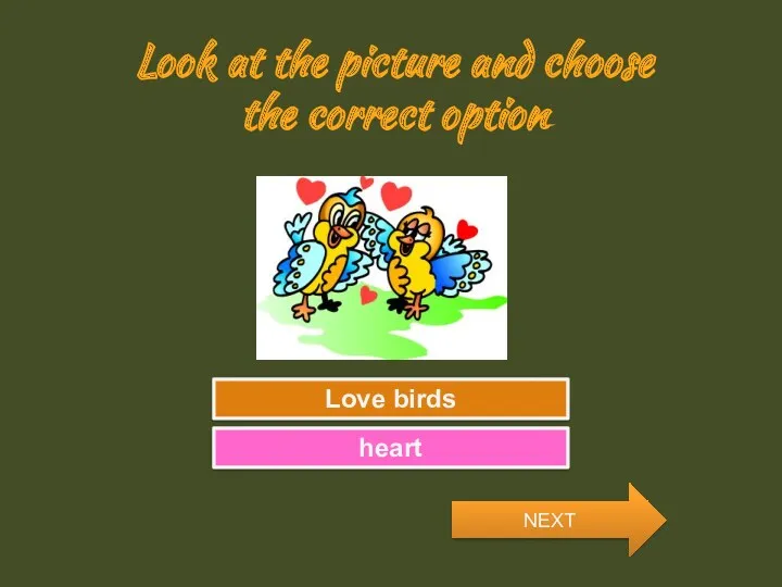 Look at the picture and choose the correct option Try