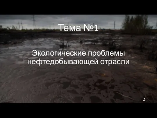 Экологические проблемы нефтедобывающей отрасли Тема №1