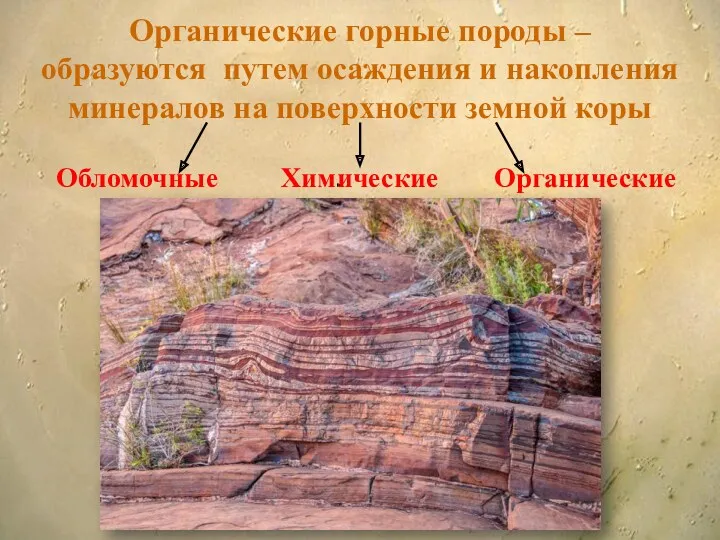 Органические горные породы – образуются путем осаждения и накопления минералов на поверхности земной