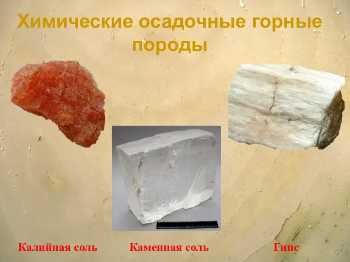 Калийная соль Каменная соль Гипс Химические осадочные горные породы