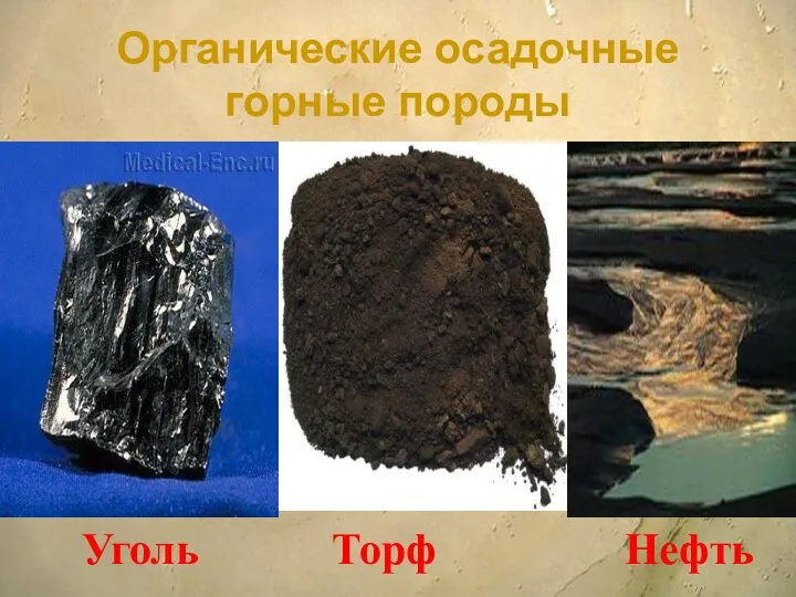 Уголь Торф Нефть Органические осадочные горные породы