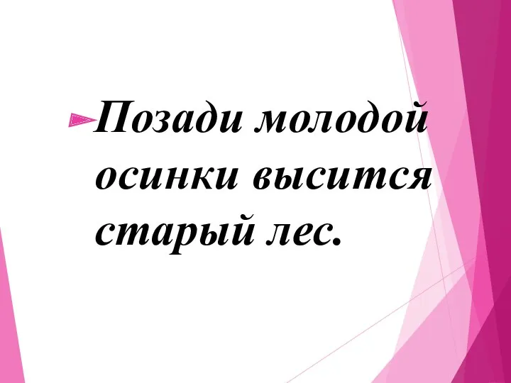 Позади молодой осинки высится старый лес.