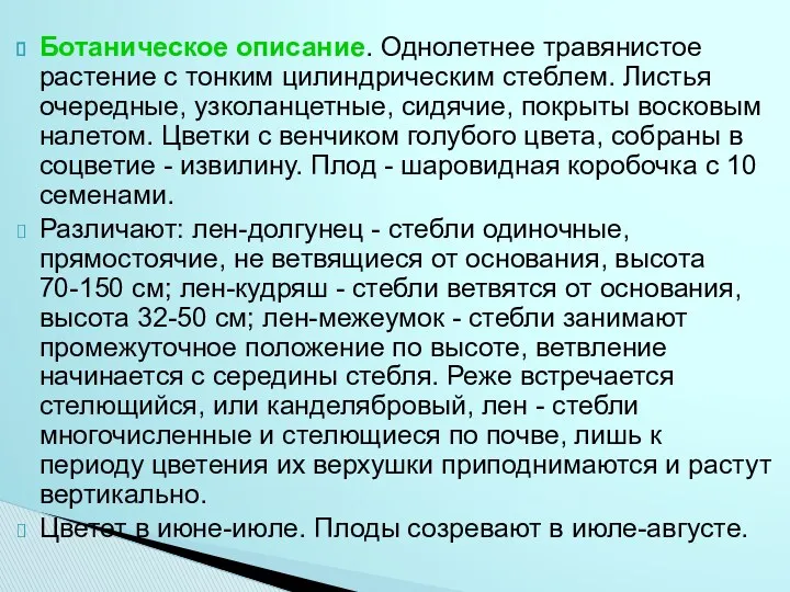 Ботаническое описание. Однолетнее травянистое растение с тонким цилиндрическим стеблем. Листья