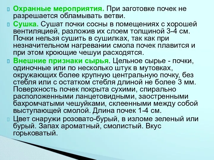 Охранные мероприятия. При заготовке почек не разрешается обламывать ветви. Сушка.