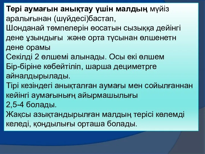 Тері аумағын анықтау үшін малдың мүйіз аралығынан (шүйдесі)бастап, Шонданай төмпелерін