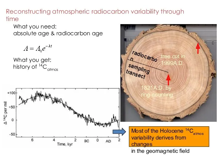 Reconstructing atmospheric radiocarbon variability through time 1821A.D. by ring-counting tree