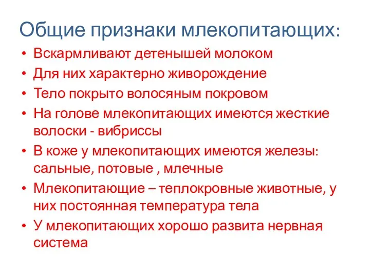 Общие признаки млекопитающих: Вскармливают детенышей молоком Для них характерно живорождение