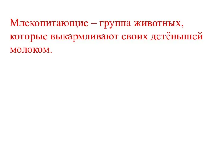 Млекопитающие – группа животных, которые выкармливают своих детёнышей молоком.