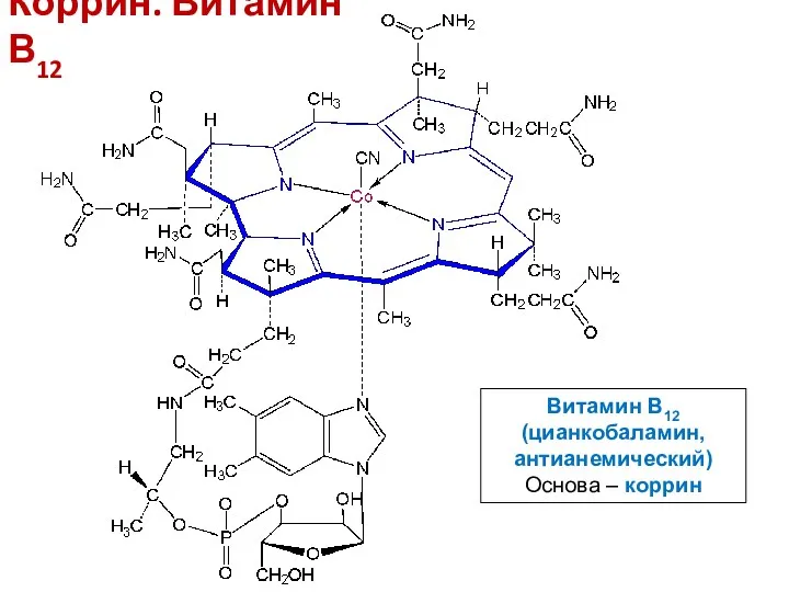Коррин. Витамин В12 Витамин В12 (цианкобаламин, антианемический) Основа – коррин