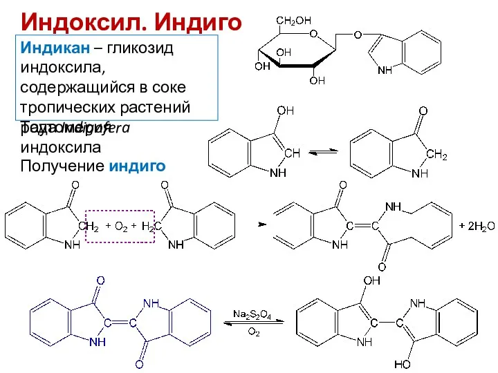 Индоксил. Индиго Индикан – гликозид индоксила, содержащийся в соке тропических