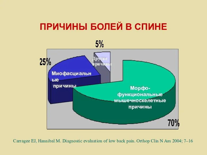 ПРИЧИНЫ БОЛЕЙ В СПИНЕ Морфо-функциональные мышечноскелетные причины Миофасциальные причины Другие