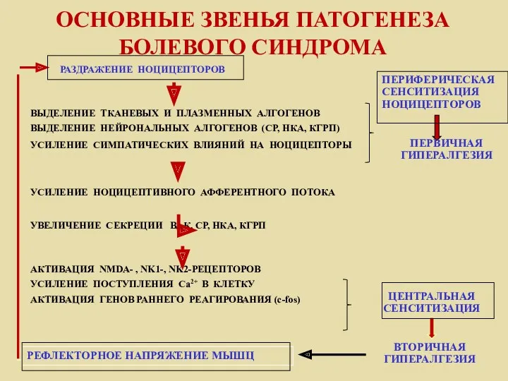 ОСНОВНЫЕ ЗВЕНЬЯ ПАТОГЕНЕЗА БОЛЕВОГО СИНДРОМА РАЗДРАЖЕНИЕ НОЦИЦЕПТОРОВ ВЫДЕЛЕНИЕ ТКАНЕВЫХ И ПЛАЗМЕННЫХ АЛГОГЕНОВ ВЫДЕЛЕНИЕ