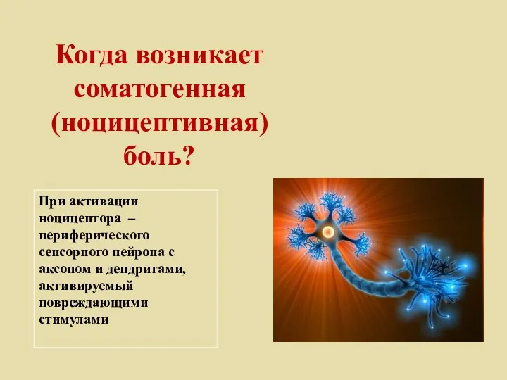 Когда возникает соматогенная (ноцицептивная) боль? При активации ноцицептора – периферического