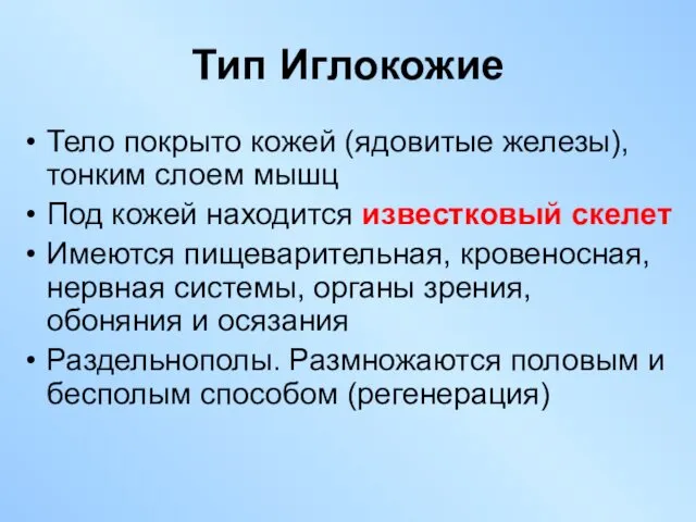 Тело покрыто кожей (ядовитые железы), тонким слоем мышц Под кожей