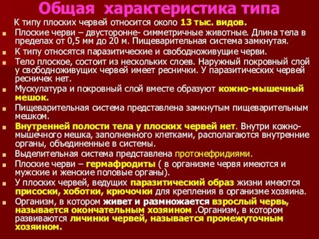 Общая характеристика типа К типу плоских червей относится около 13