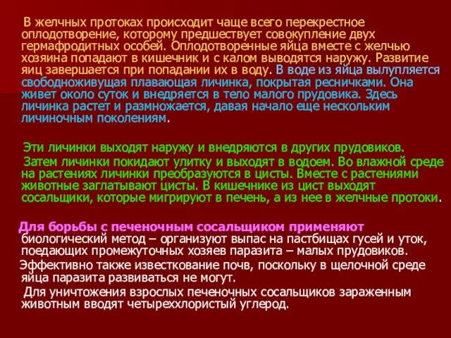 В желчных протоках происходит чаще всего перекрестное оплодотворение, которому предшествует