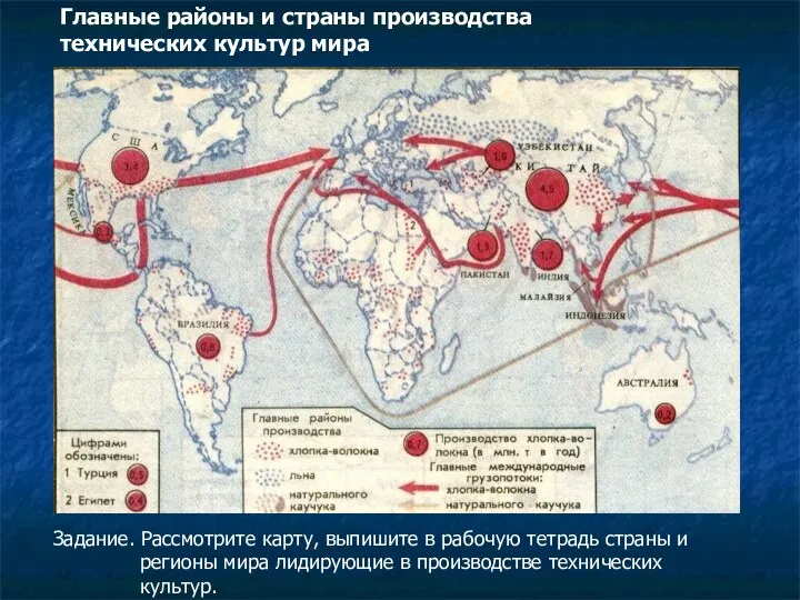 Главные районы и страны производства технических культур мира Задание. Рассмотрите