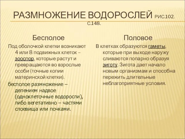 РАЗМНОЖЕНИЕ ВОДОРОСЛЕЙ РИС.102.С.148. Бесполое Под оболочкой клетки возникают 4 или