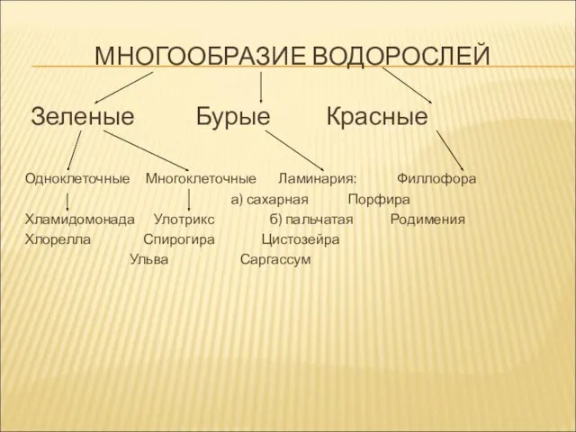 МНОГООБРАЗИЕ ВОДОРОСЛЕЙ Зеленые Бурые Красные Одноклеточные Многоклеточные Ламинария: Филлофора а)