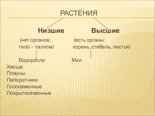 РАСТЕНИЯ Низшие Высшие (нет органов; (есть органы: тело – таллом)