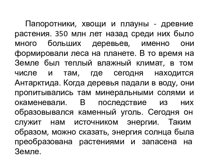 Папоротники, хвощи и плауны - древние растения. 350 млн лет