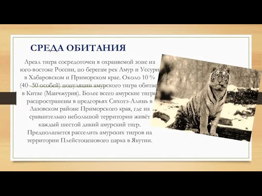 СРЕДА ОБИТАНИЯ Ареал тигра сосредоточен в охраняемой зоне на юго-востоке