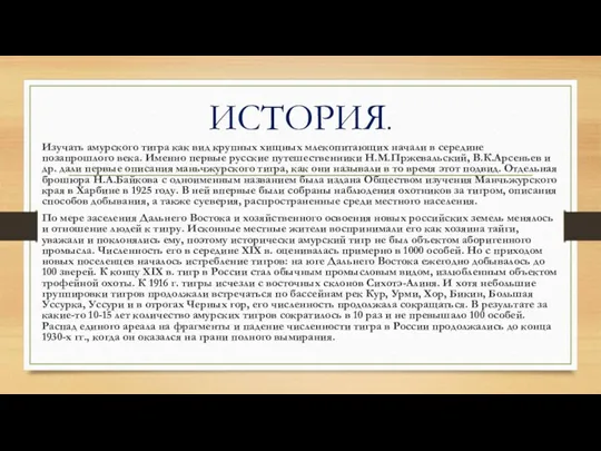 ИСТОРИЯ. Изучать амурского тигра как вид крупных хищных млекопитающих начали