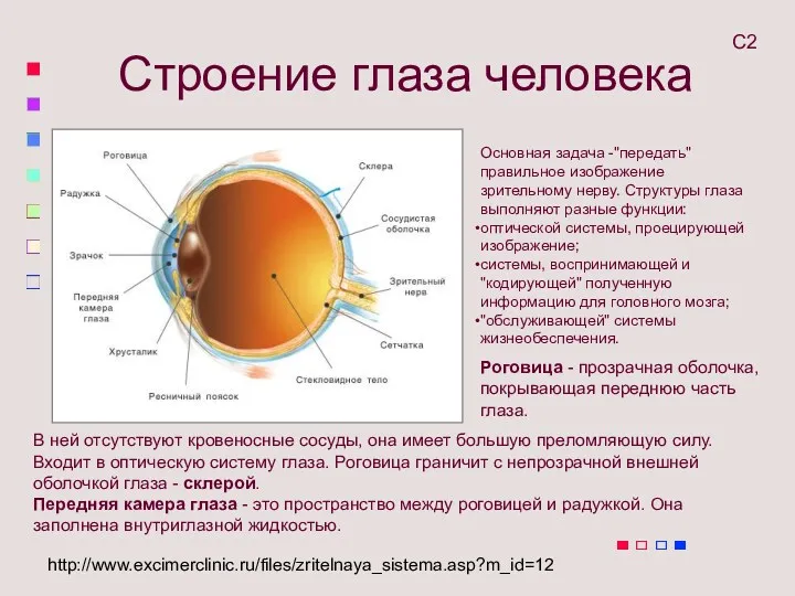 Основная задача -"передать" правильное изображение зрительному нерву. Структуры глаза выполняют