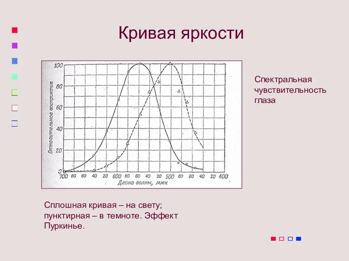 Кривая яркости Сплошная кривая – на свету; пунктирная – в темноте. Эффект Пуркинье. Спектральная чувствительность глаза