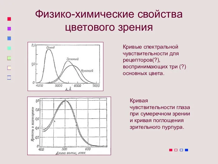 Физико-химические свойства цветового зрения Кривые спектральной чувствительности для рецепторов(?), воспринимающих