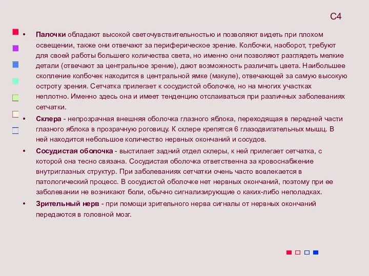 Палочки обладают высокой светочувствительностью и позволяют видеть при плохом освещении,