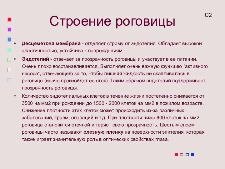 Десцеметова мембрана - отделяет строму от эндотелия. Обладает высокой эластичностью,