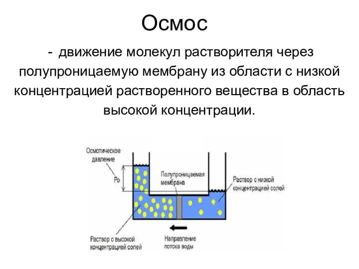 Осмос движение молекул растворителя через полупроницаемую мембрану из области с