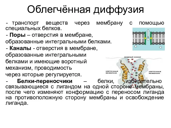 Облегчённая диффузия транспорт веществ через мембрану с помощью специальных белков.