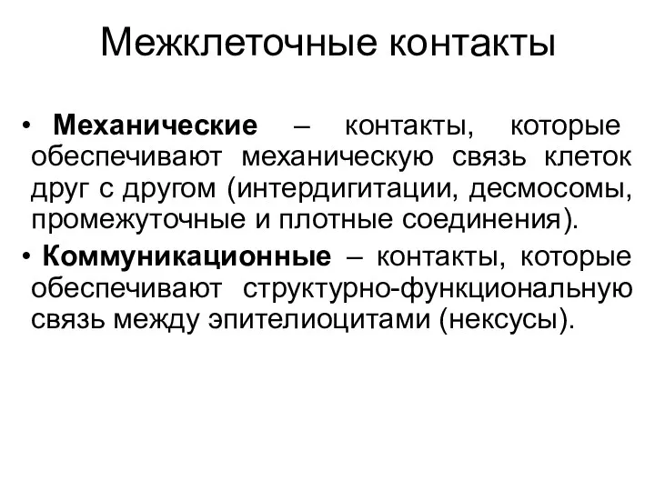 Межклеточные контакты Механические – контакты, которые обеспечивают механическую связь клеток